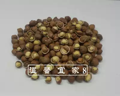 Send pliers wild hazelnuts to select large grains Daxinganling 500g raw fire hazelnuts without opening their mouths full of kernels
