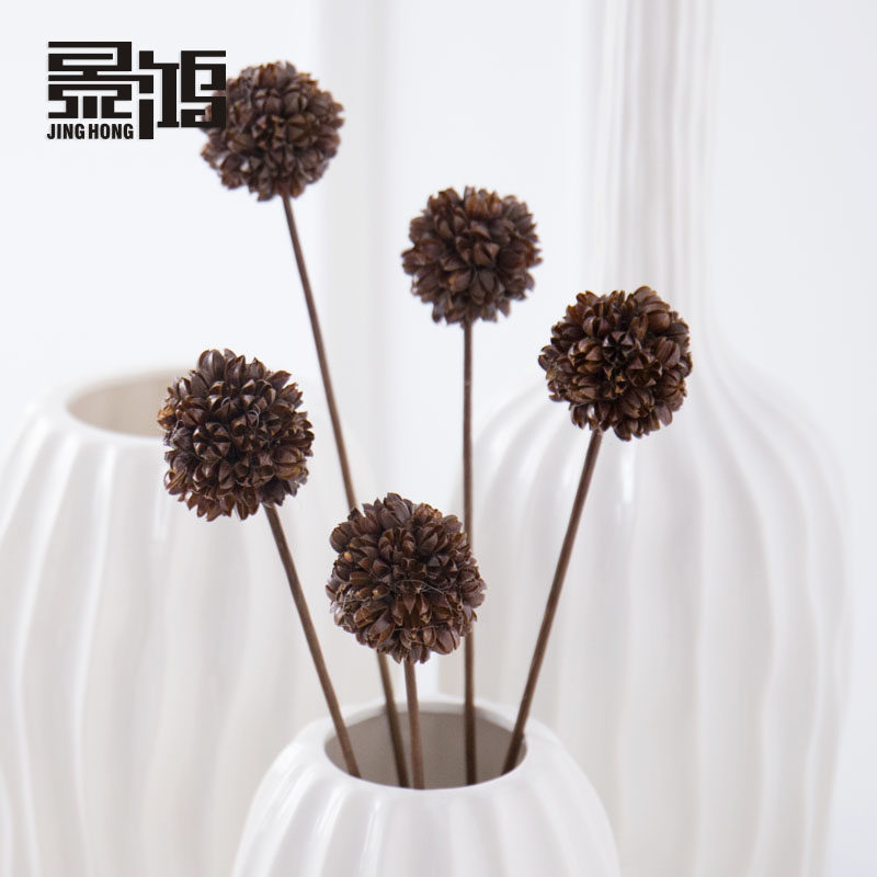 ����ɻ��ɹ������ڼ�