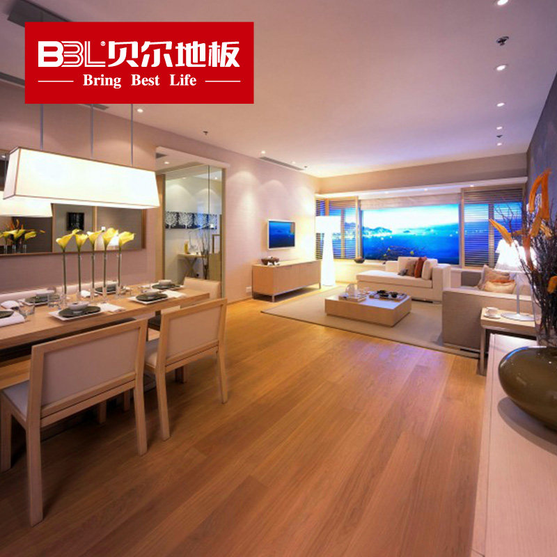 ����ʵľ�ذ�WL2009