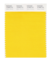 Pantone Pantone Color Card Pantone Flagship Store Clothing Home 13-0850 to 13-1008TCX Cotton Version Single Color Card