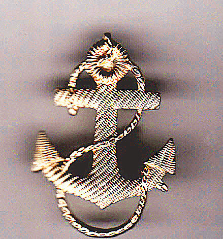 Russian cap badge 9C