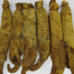 Gao Li is not directly involved in yellow mandarin vest 8 years root pure no sugar 12 grain head single branch more than 40 gr 