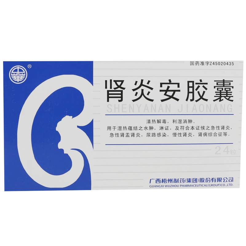 中华 肾炎安胶囊 0.3g*24粒/盒