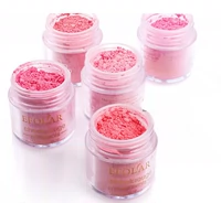 Phấn má hồng dạng bột Efolar Evera Magic Meteor Blush 8g Trang điểm màu nude Rouge Makeup B phấn má 3ce