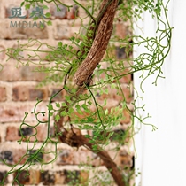 Looking for some black bone awn simulation flowers and green plants winding vines rattan ferns iron wire ferns decorative forest landscaping