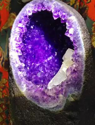 A picture of the new white crystal tooth symbiosis in the purple crystal cave