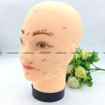 Fake head model skinhead model head fake human head model simulation hat model props female head model human head touch