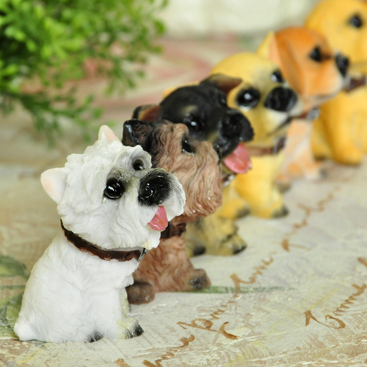 �ű�����Ȯ���湷װ��ƷGM0601