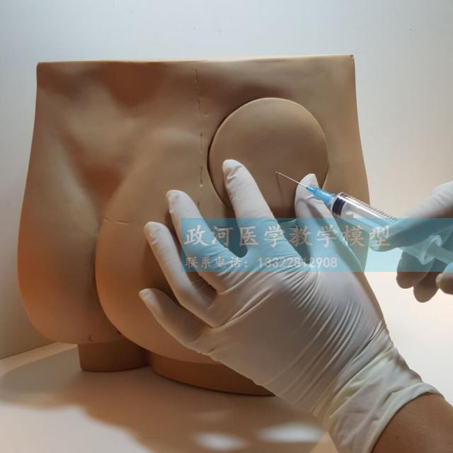 Butt injection model Butt injection exercise mold injection exercise props Half butt training module