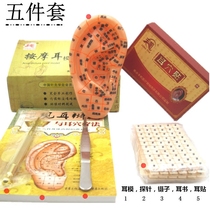 Ear patch Wang Buluxu Seeds ear patch ear bean massage ear acupoint model acupoint reflex zone pressing probe