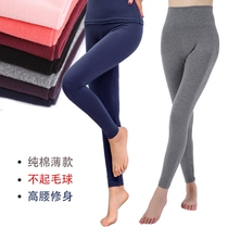 100%cotton autumn pants Women wear a single piece of cotton thin section high waist stretch slim large size base warm line pants