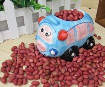 Small Pet Tuantuan Hamsters and Squirrels Love Red Peanuts 50G Chinchilla and Squirrel Snacks Food