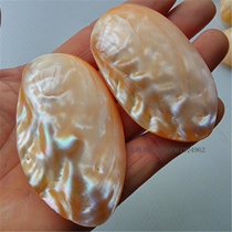  Natural conch shell glossy pearl shell scraping board double-sided mussel shell creative collection gift handle piece
