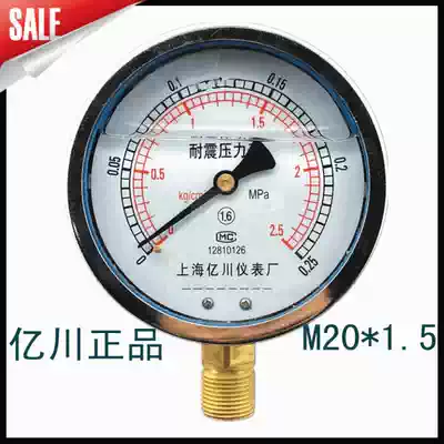 Factory direct sales Shanghai Yichuan Instrument Factory Seismic and Seismic Pressure Gauge YN100 0~0 25mpa