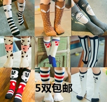 Spring and summer new childrens socks boys and girls baby cotton cotton socks beautiful girl cartoon fox childrens socks