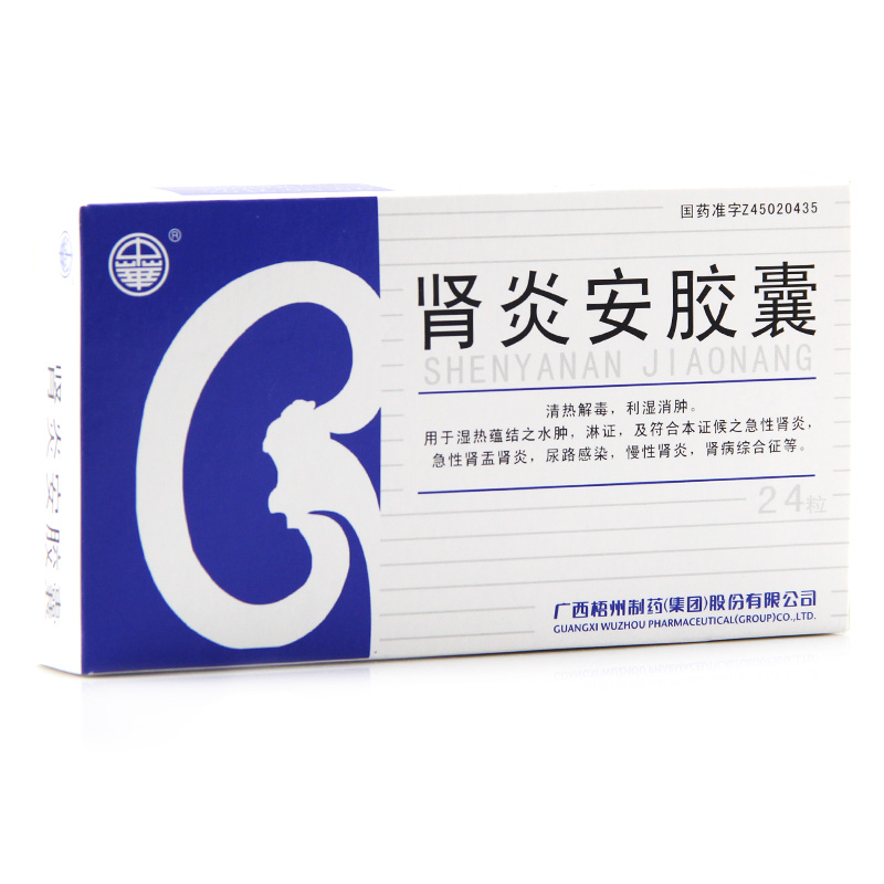 中华 肾炎安胶囊 0.3g*24粒/盒
