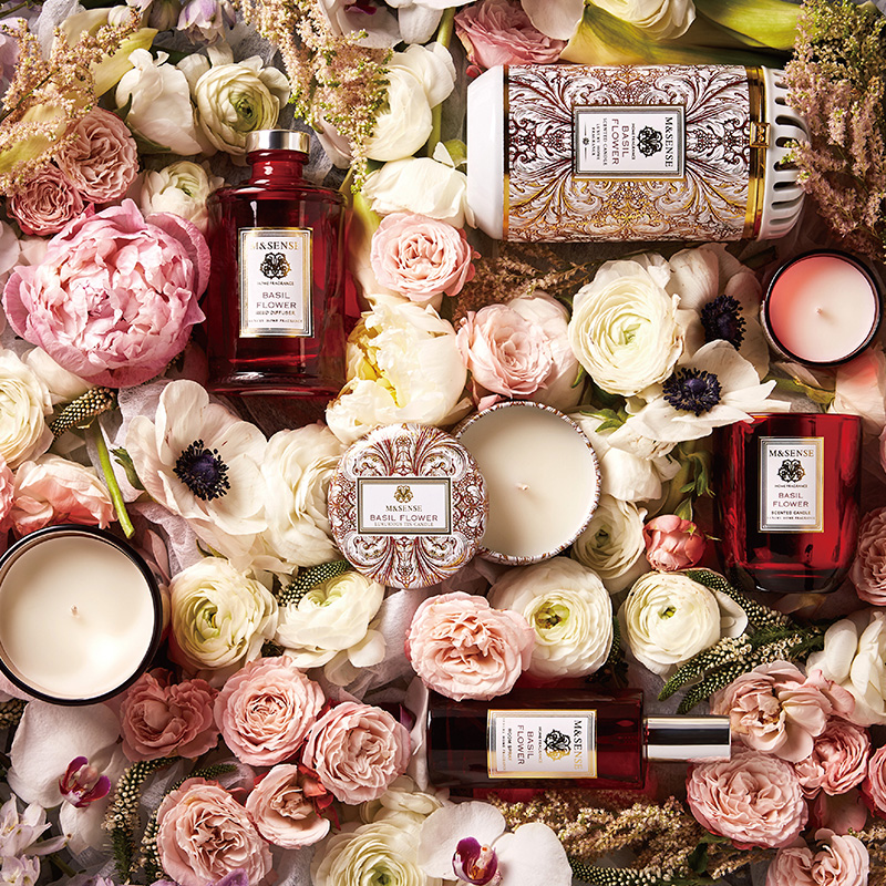 TAYOHYA��޹����MS050502008ZZ