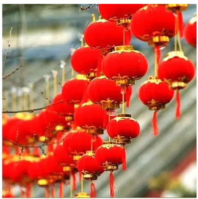 New Year's Lantern Festival Spring Festival bonsai dance flocking small lantern string hanging decoration indoor and outdoor decoration small lantern festive