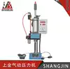 Shanghai Golden tortoise pneumatic punching press 200KG IBS-63T stroke 100 adjustable 50 riveting
