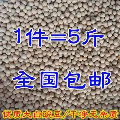 High quality white jade pea young pigeon grain pigeon meat pigeon protein young pigeon feed pure pea pigeon grain 5kg