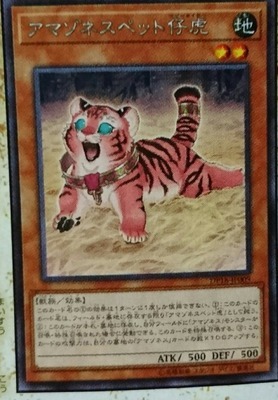 N R Amazon Pet Jay Tiger DP18 DP 27