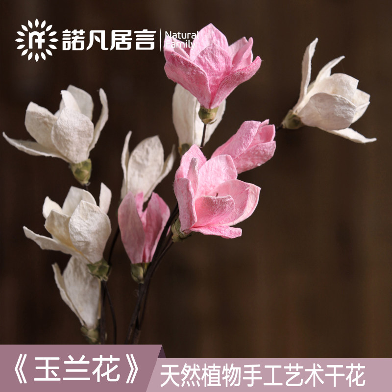 ŵ���������������滨yldz