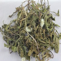 特价天然蒲公英 仓鼠治便秘 龙猫兔子零食消炎止腹泻抗感冒500G