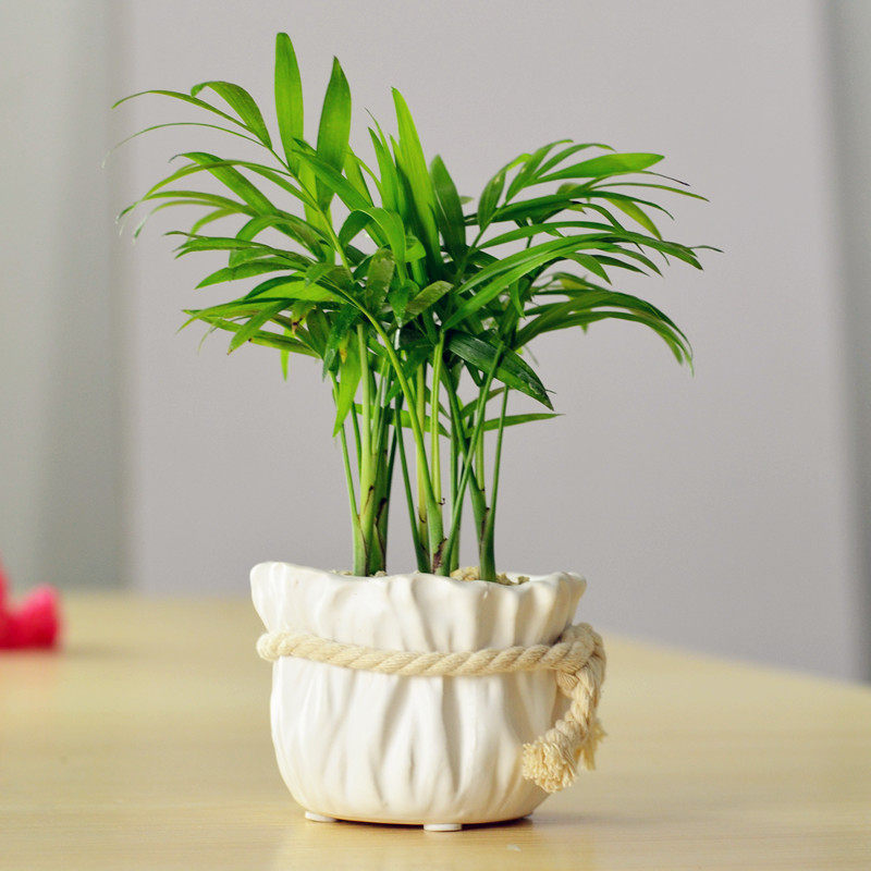 �Ӻ�Ե����Ҭ���辰