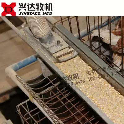 The homogenizer layer automatic feeding machine special automatic chicken raising equipment factory direct sales can be uniform feed