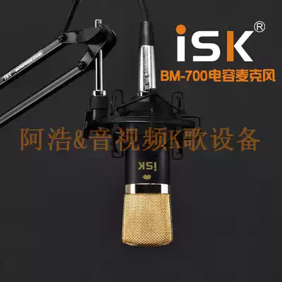 ISK BM-700 Capacitor Mike Cantilever Wire Power Blast Cover (full set)