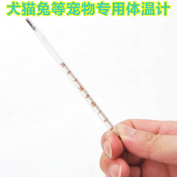 Pet Thermometer Dog Cat Rabbit Thermometer Mercury Thermometer Veterinary Thermometer Dog Glass Anal Watch