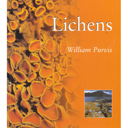 LICHENS(ISBN=9781560988793)//Random House US