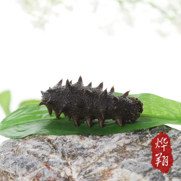 Dalian specialty Semi-dried sea cucumber Wild Liao Ginseng Light dried sea cucumber bulk 250g10-12 heads