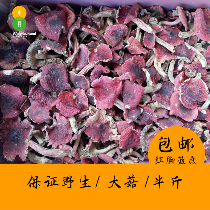 Wild authentic red mushroom dry goods pregnant women Yunnan small mushroom big red mushroom red mushroom non-Fujian Wuyishan 250g
