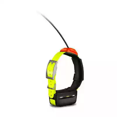 Jiaming T5 collar hound hound tracker