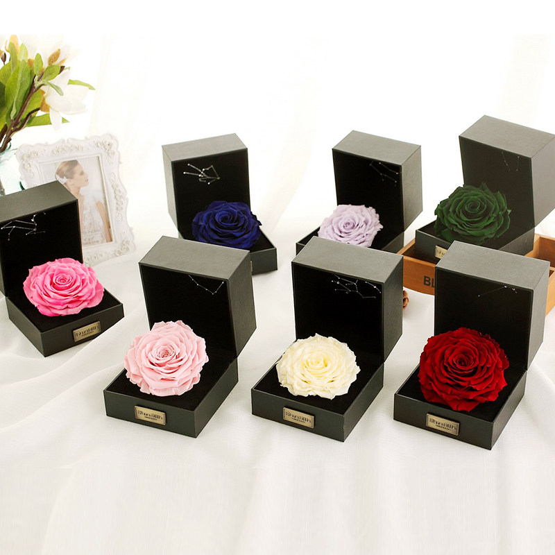 ��������ϵ��������õ�廨�ɻ�