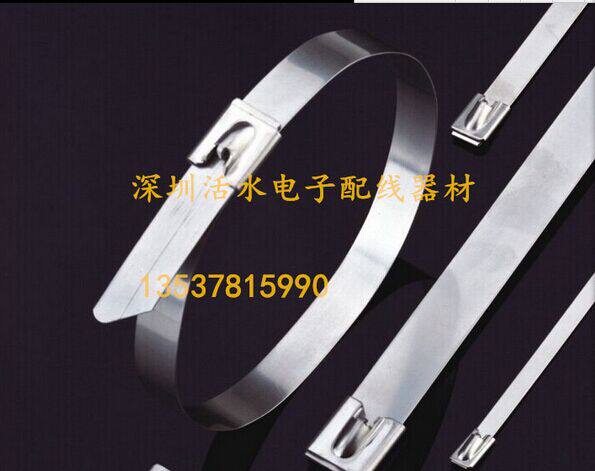 304 material stainless steel ties Ribbon Metal Ties self-lock style 12 * 300100 strips