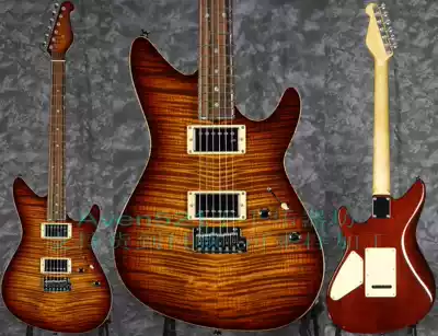 Customized Don Grosh Limited Edition DG-50 Electric Guitar