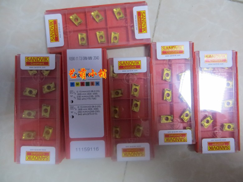 The mountain Tickwick R390-11T308M-MM2030 in the first