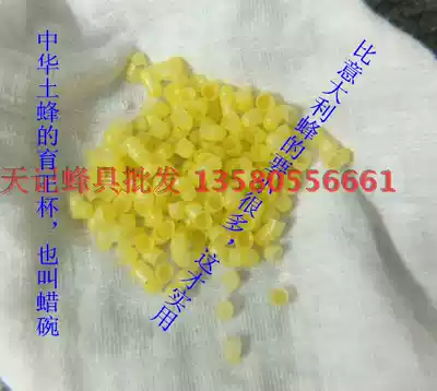 Hot selling artificial King Bee high quality breeding Wangtai middle Bee cover beeswax wax bowl Wangtai base Yuwang Cup