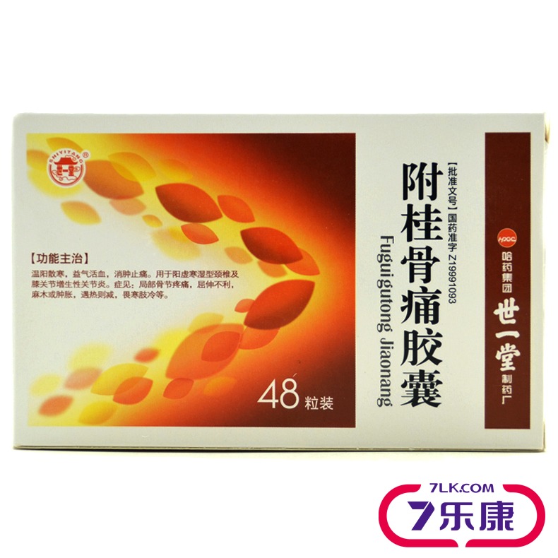 世一堂 附桂骨痛胶囊 0.33g*48粒/盒