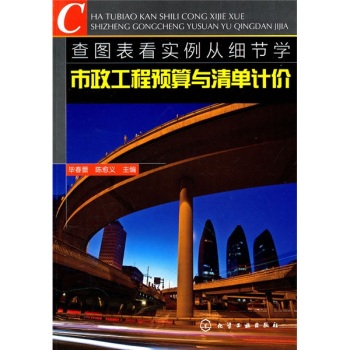 查图表看实例从细节学市政工程预算与清单计价/毕春蕾/化学工业出版社
