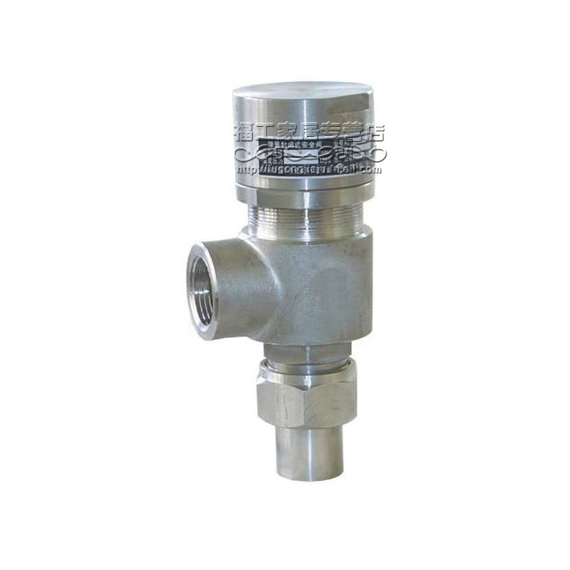 304 stainless steel safety valve spring micro-starter external thread safety valve A21W-16P DN50