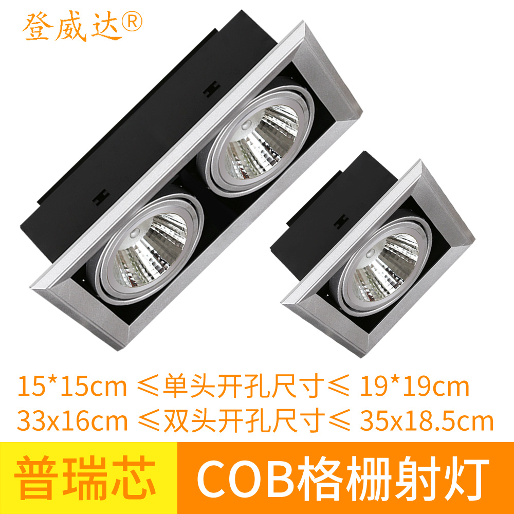 ������led������˫ͷ���ZY-XL03-DSP-YM012