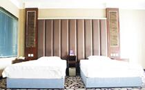 Deluxe standard room