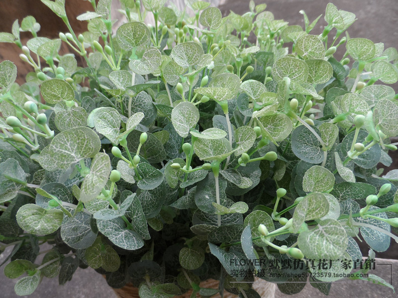 Highly Realistic Large Bunches of Mini Leaves: Money Leaves, Eucalyptus, Small Begonia Leaves, Decorative Leaves for Plant Walls