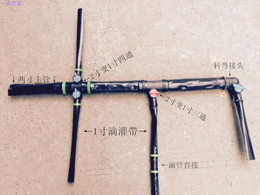 Drip irrigation with microspray with spout dropper filter head tee four-way