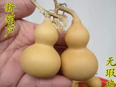 2019 new head stubble gourd natural text play gourd Hand twist gourd Boutique small gourd 5-7 spot