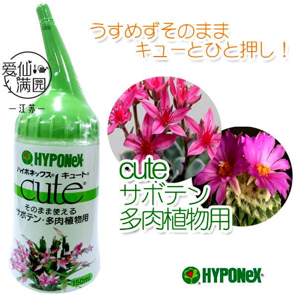 包邮日本进口花宝hyponex 多肉专用肥料增色增艳剂150ml原装