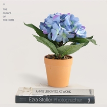 Creative fresh hydrangea TV cabinet simulation flower decoration flower decoration flower dry flower silk flower decoration whole floral set